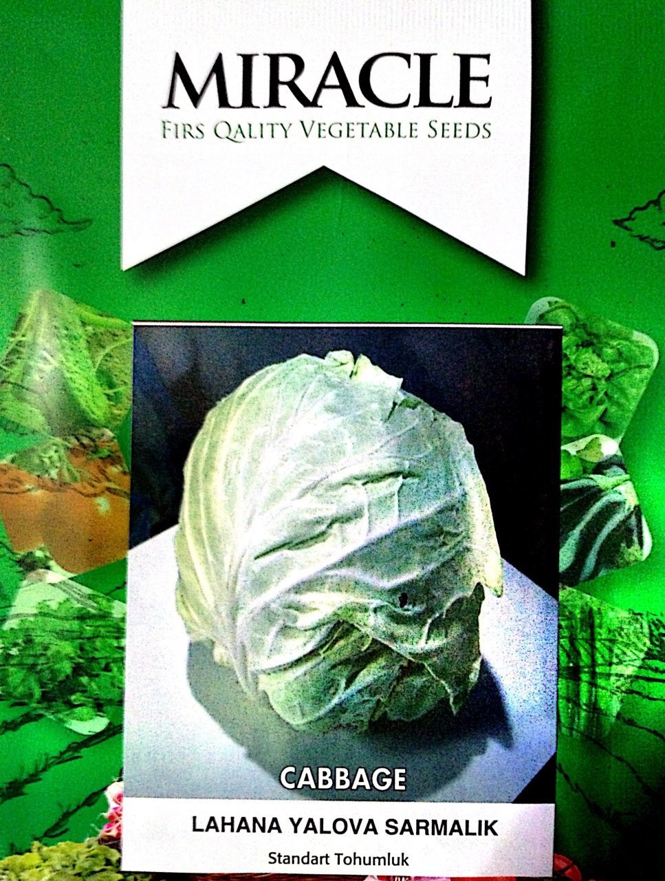 Miracle Sarmalık Yalova Beyaz Lahana Tohumu (10 gram)