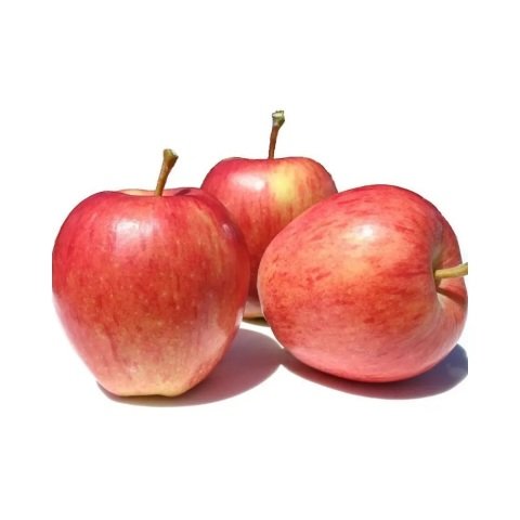 Tüplü Tam Bodur Braeburn Elma Fidanı