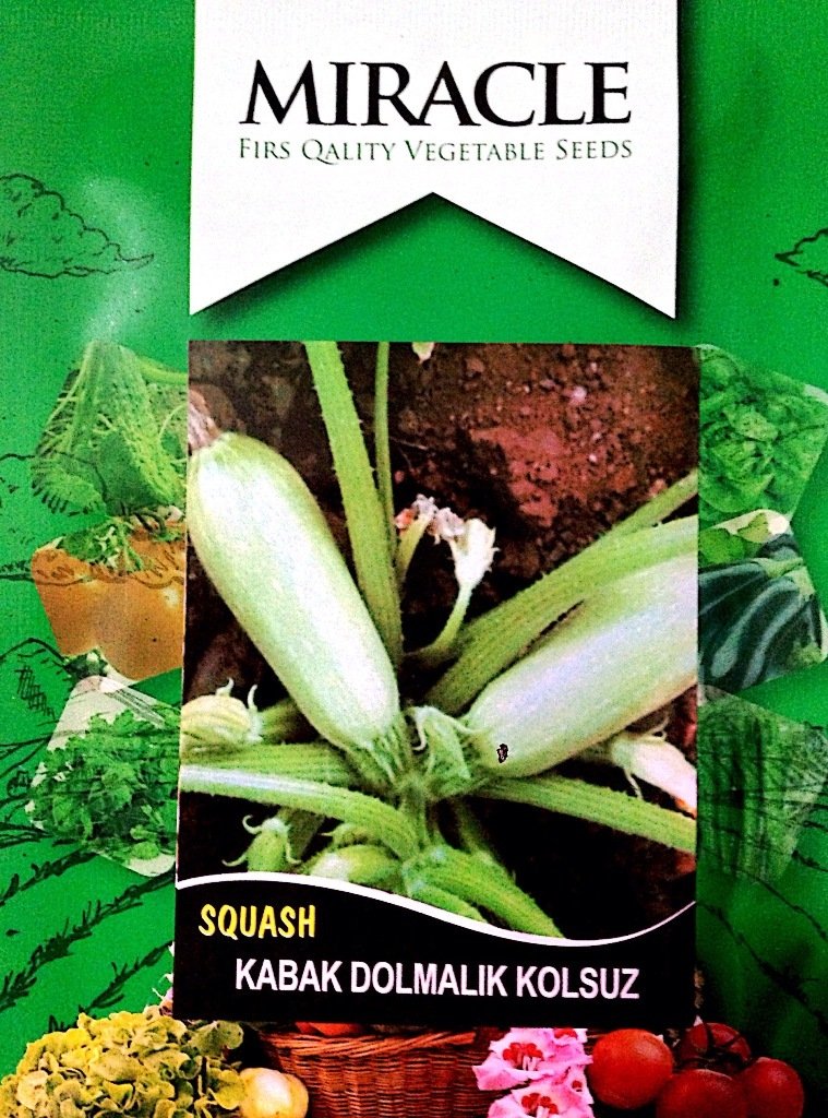 Miracle Kolsuz Beyaz Kabak Tohumu (10 gram)