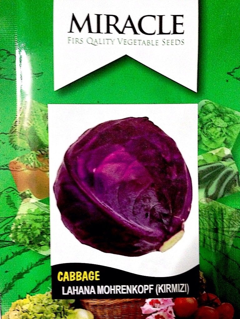 Miracle Kırmızı Lahana Tohumu (10 Gram)