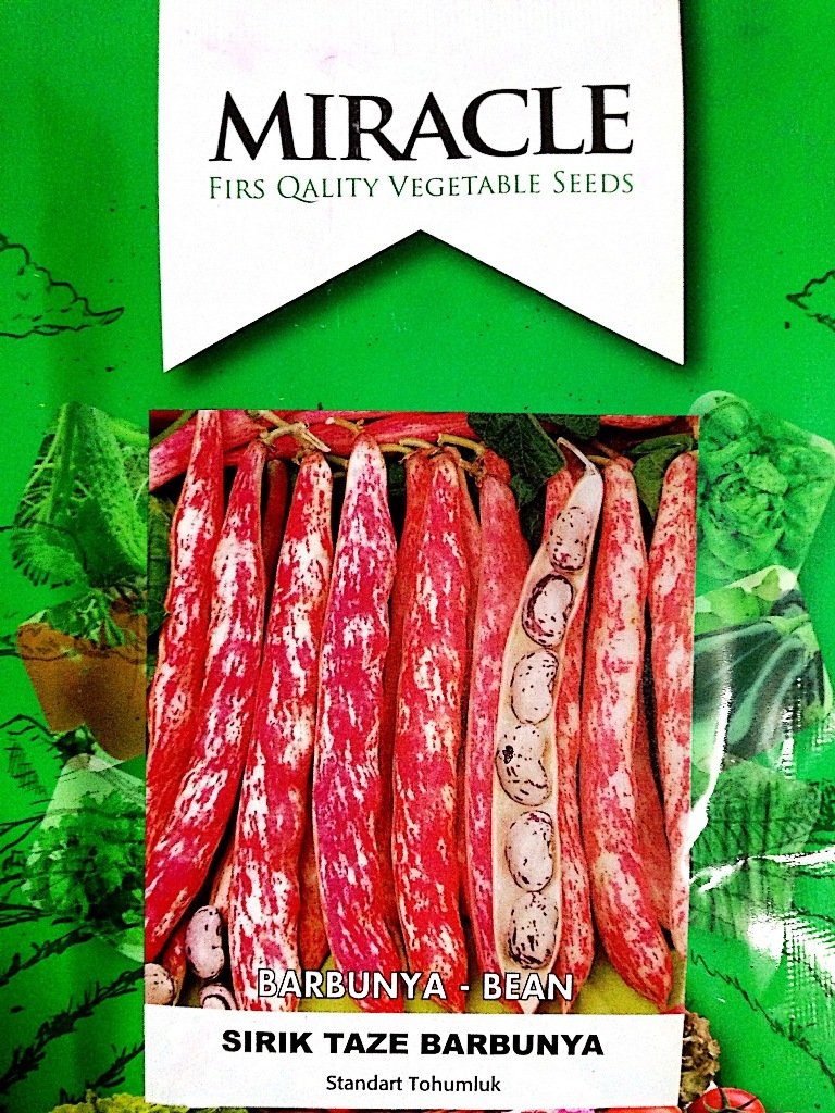 Miracle Sırık Taze Barbunya Tohumu (50 gram)