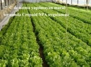 Soğuklara Karşı Cropaid NPA  Doğal Bitki Antifrizi (1000 gram)