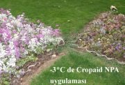 Soğuklara Karşı Cropaid NPA  Doğal Bitki Antifrizi (1000 gram)