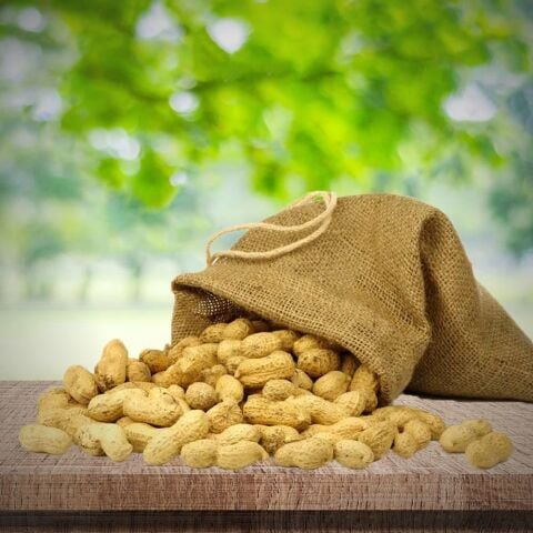 Yeni Sezon Çiğ Haşlamalık  Taze Yer Fıstığı Taze Söküm (2 kg)